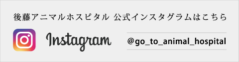 インスタグラム