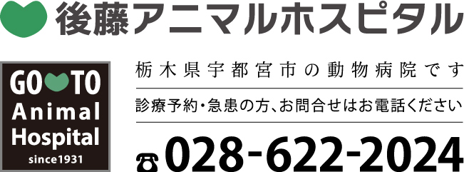 宇都宮の動物病院　後藤アニマルホスピタル 