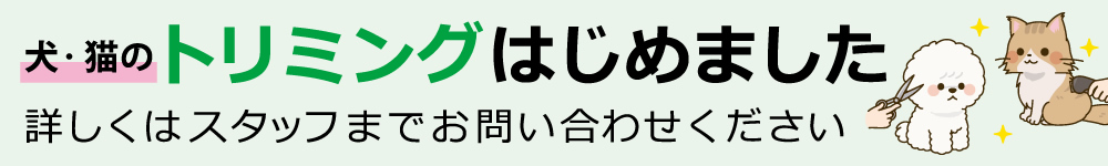 犬・猫のトリミングはじめました 